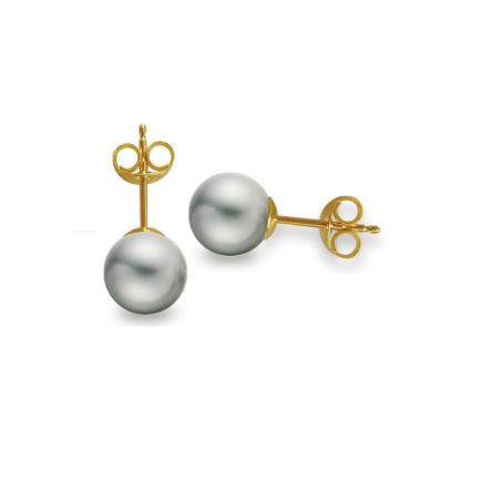 Gray Akoya Pearl White 5-5.5mm Stud Earrings in Gold 14k