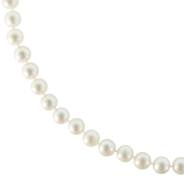Freshwater Pearl Necklace 6.5–7.0mm in 14k