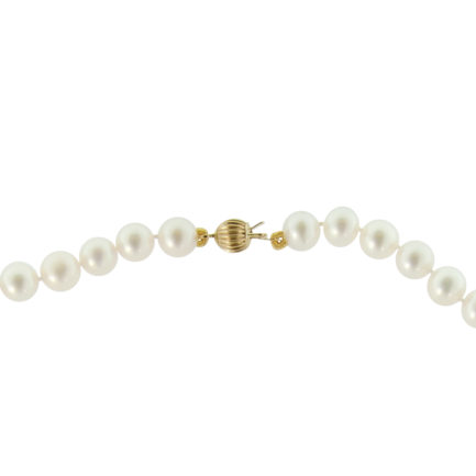 6.5-7mm White Freshwater Cultured Pearl Necklace in k14 Gold