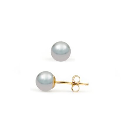 Akoya Pearl Japan Gray 5-5.5mm 4A in 14k Yellow Gold Stud Earrings