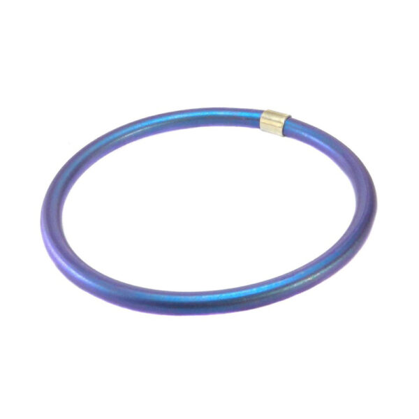 Colorful Titanium Bangle Bracelet Blue