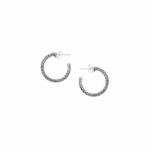 Small Hoop Earrings in Silver
